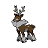 Dark Sawsbuck (Winter)